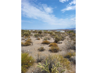 Lake Mead Lot For Sale in Meadview Arizona