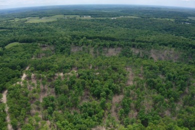 Lake of the Ozarks Acreage For Sale in Roach Missouri