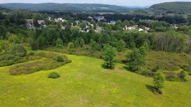 (private lake, pond, creek) Acreage For Sale in Bainbridge New York