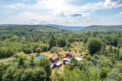 Lake Home For Sale in Vienna, Maine