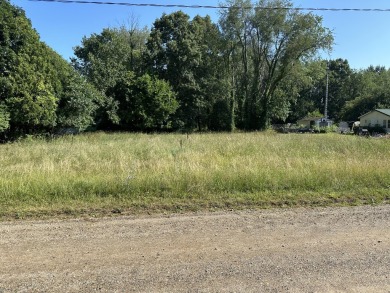 Dragon Lake Lot For Sale in Coldwater Michigan