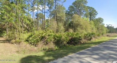 Lake George Lot For Sale in Georgetown Florida