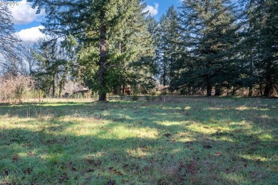 Willamette River - Clackamas County Lot For Sale in Canby Oregon
