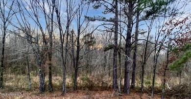 Discover a rare opportunity with this prime 40-acre parcel - photo 3