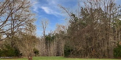 Discover a rare opportunity with this prime 40-acre parcel - photo 6