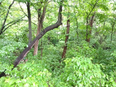 Unit 109 is on the West Side (Lake Side), with access to all the - photo 14