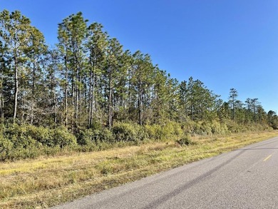 This versatile & divisible waterfront tract with quick access to - photo 21