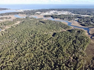 This versatile & divisible waterfront tract with quick access to - photo 25