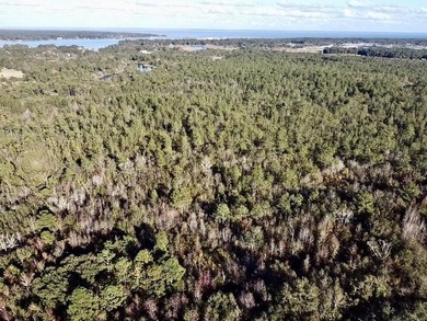 This versatile & divisible waterfront tract with quick access to - photo 29