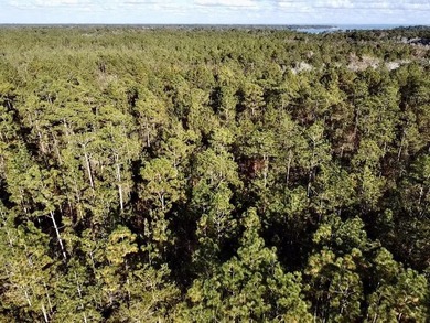 This versatile & divisible waterfront tract with quick access to - photo 31