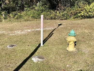 This versatile & divisible waterfront tract with quick access to - photo 34