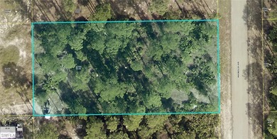 Lehigh Acres Area Lot Sale Pending in Lehigh Acres Florida