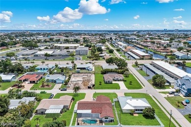 Welcome to this charming and beautifully updated Cape Coral home - photo 43