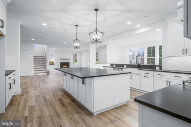 SUMMER 2026 MOVE-IN!!! ... Introducing Catonsville Homes at - photo 8