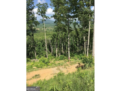 Lake Acreage For Sale in Blairsville, Georgia