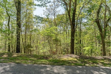 Lot #50 in the Chapel Hill Phase II subdivision is a 0.51+/-acre - photo 15