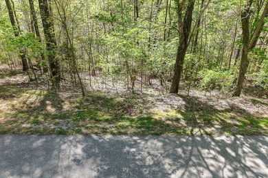 Lot #50 in the Chapel Hill Phase II subdivision is a 0.51+/-acre - photo 16