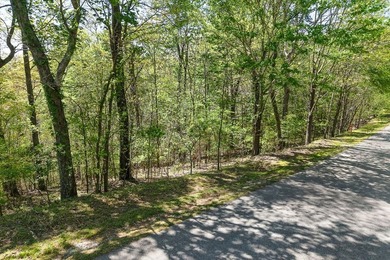 Lot #50 in the Chapel Hill Phase II subdivision is a 0.51+/-acre - photo 17