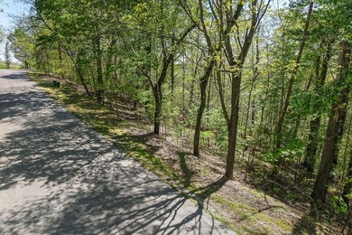 Lot #50 in the Chapel Hill Phase II subdivision is a 0.51+/-acre - photo 18