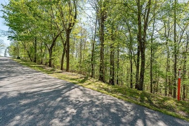 Lot #50 in the Chapel Hill Phase II subdivision is a 0.51+/-acre - photo 19