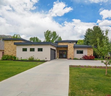 Matthew Arias, Keller Williams Realty Southwest Associates, LLC - photo 3