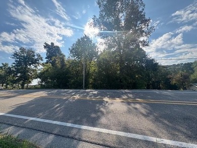 1.68-acre Norfork River lot. In town and outside a flood zone - photo 3
