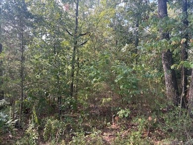 1.68-acre Norfork River lot. In town and outside a flood zone - photo 5