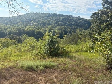 1.68-acre Norfork River lot. In town and outside a flood zone - photo 6