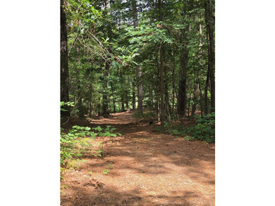Discover the perfect blend of open pasture, mature woods, and - photo 11