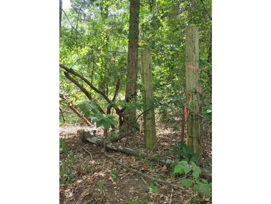 Discover the perfect blend of open pasture, mature woods, and - photo 12
