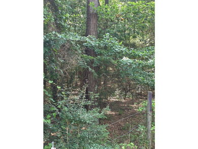 Discover the perfect blend of open pasture, mature woods, and - photo 14