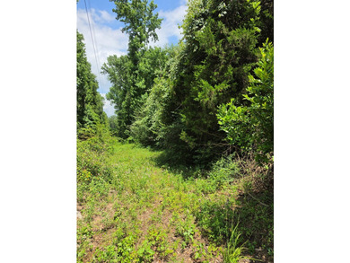 Discover the perfect blend of open pasture, mature woods, and - photo 15