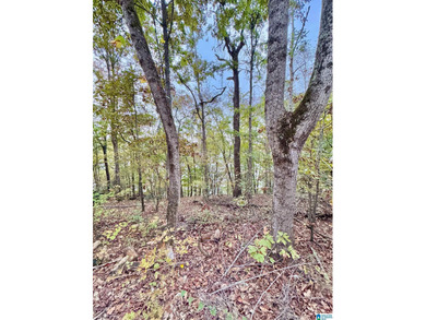 Lake Lot For Sale in Lincoln, Alabama