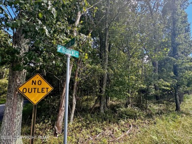 Lake Lot For Sale in Jim Thorpe, Pennsylvania
