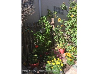 Charming 2-bed, 2-bath villa home in Battlement Mesa offering - photo 32
