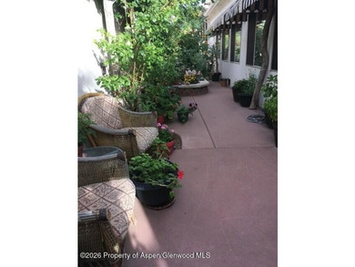 Charming 2-bed, 2-bath villa home in Battlement Mesa offering - photo 34