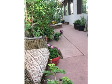 Charming 2-bed, 2-bath villa home in Battlement Mesa offering - photo 35