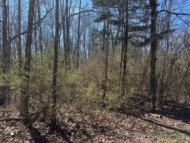 Lake Lot For Sale in Crossville, Tennessee