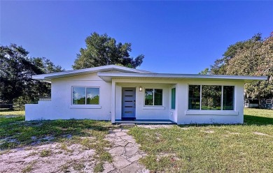 (private lake, pond, creek) Home For Sale in Deltona Florida