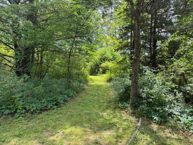 Lake Lot For Sale in Athens, New York