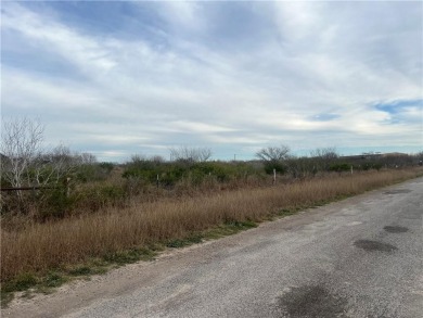 Lake Corpus Christi Acreage For Sale in Orange Grove Texas