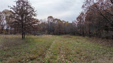 Interested in having BOTH acreage AND lake? This property - photo 11