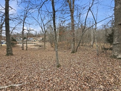 Interested in having BOTH acreage AND lake? This property - photo 12