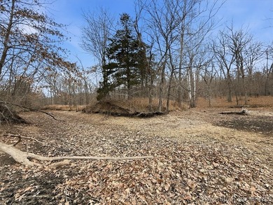Interested in having BOTH acreage AND lake? This property - photo 13