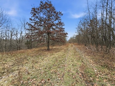 Interested in having BOTH acreage AND lake? This property - photo 15