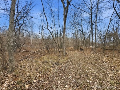 Interested in having BOTH acreage AND lake? This property - photo 16