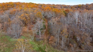 Interested in having BOTH acreage AND lake? This property - photo 19