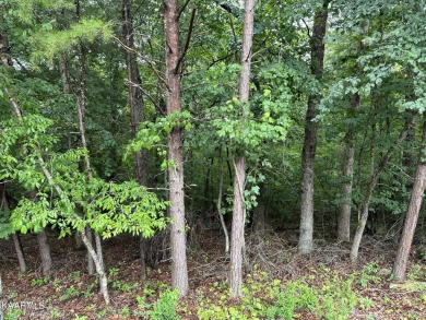 Lake Dartmoor Lot For Sale in Crossville Tennessee
