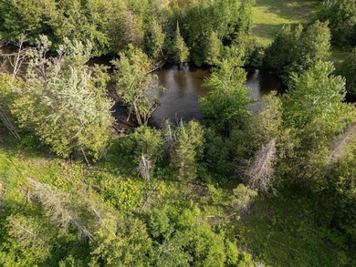 (private lake, pond, creek) Acreage For Sale in Onaway Michigan