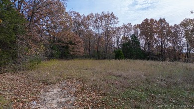 Interested in having BOTH acreage AND lake? This property - photo 22